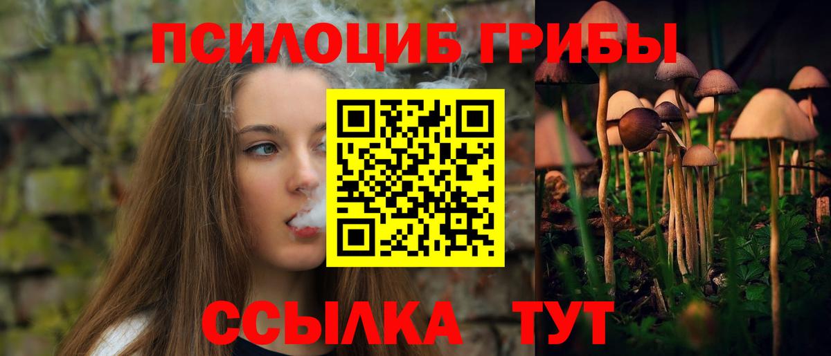 Ивантеевка  Галлюциногенные грибы Cubensis  где можно купить наркотик  Вход с VPN 
